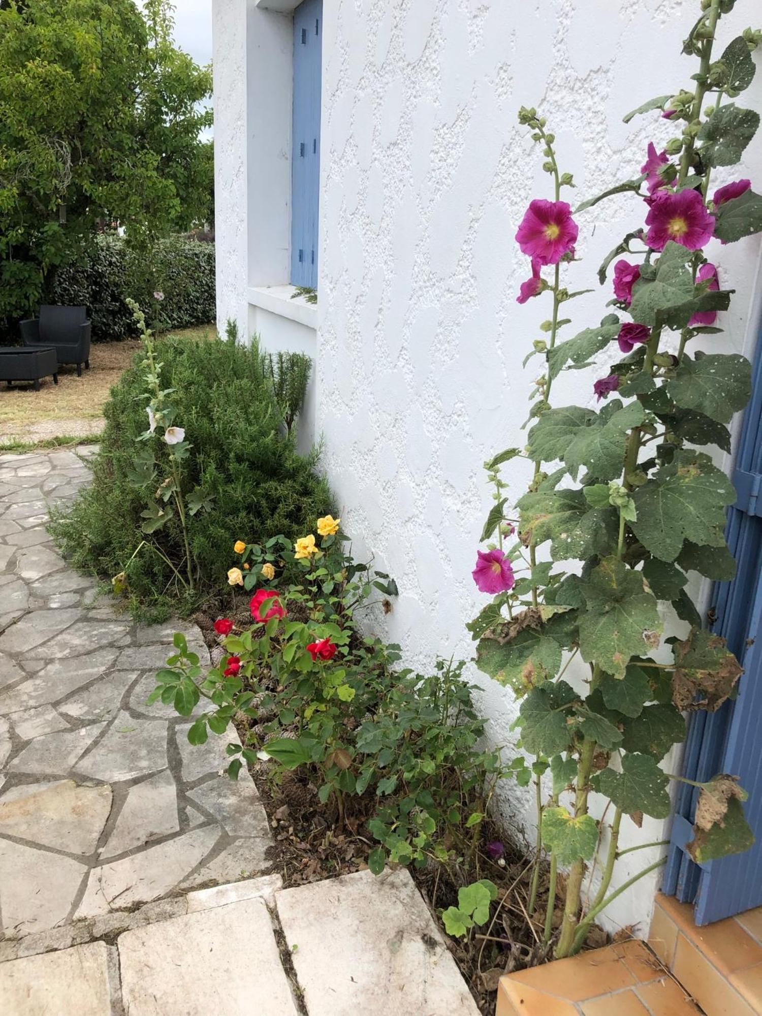 Almigeda Vila Les Mathes Exterior foto
